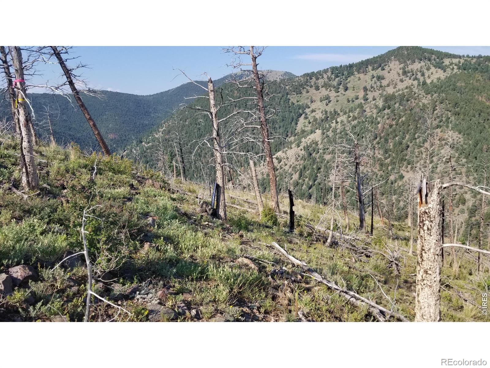 0 Gold Trail Boulder CO 80302