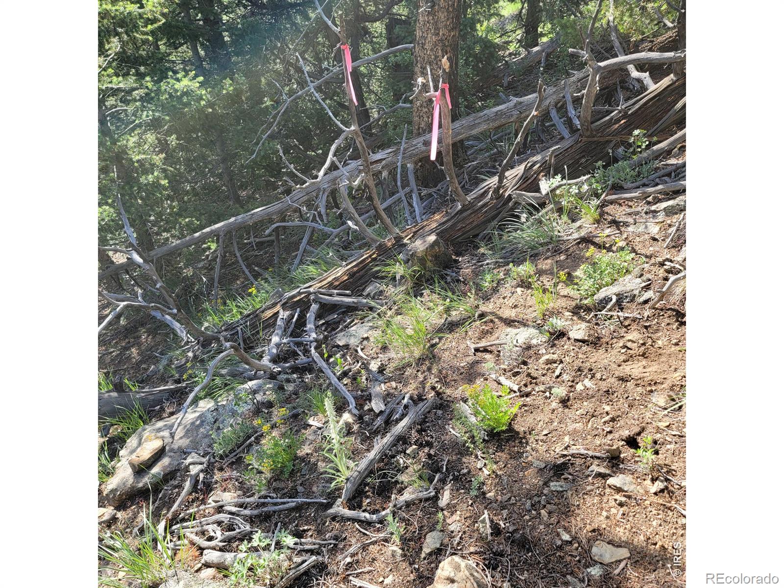 0 Gold Trail Boulder CO 80302