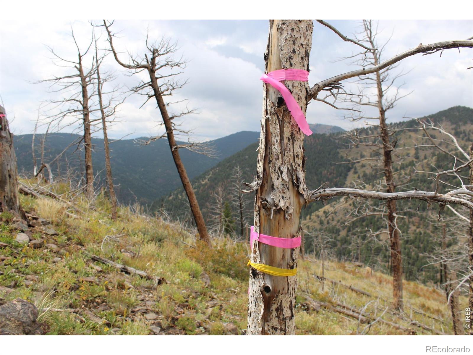 0 Gold Trail Boulder CO 80302