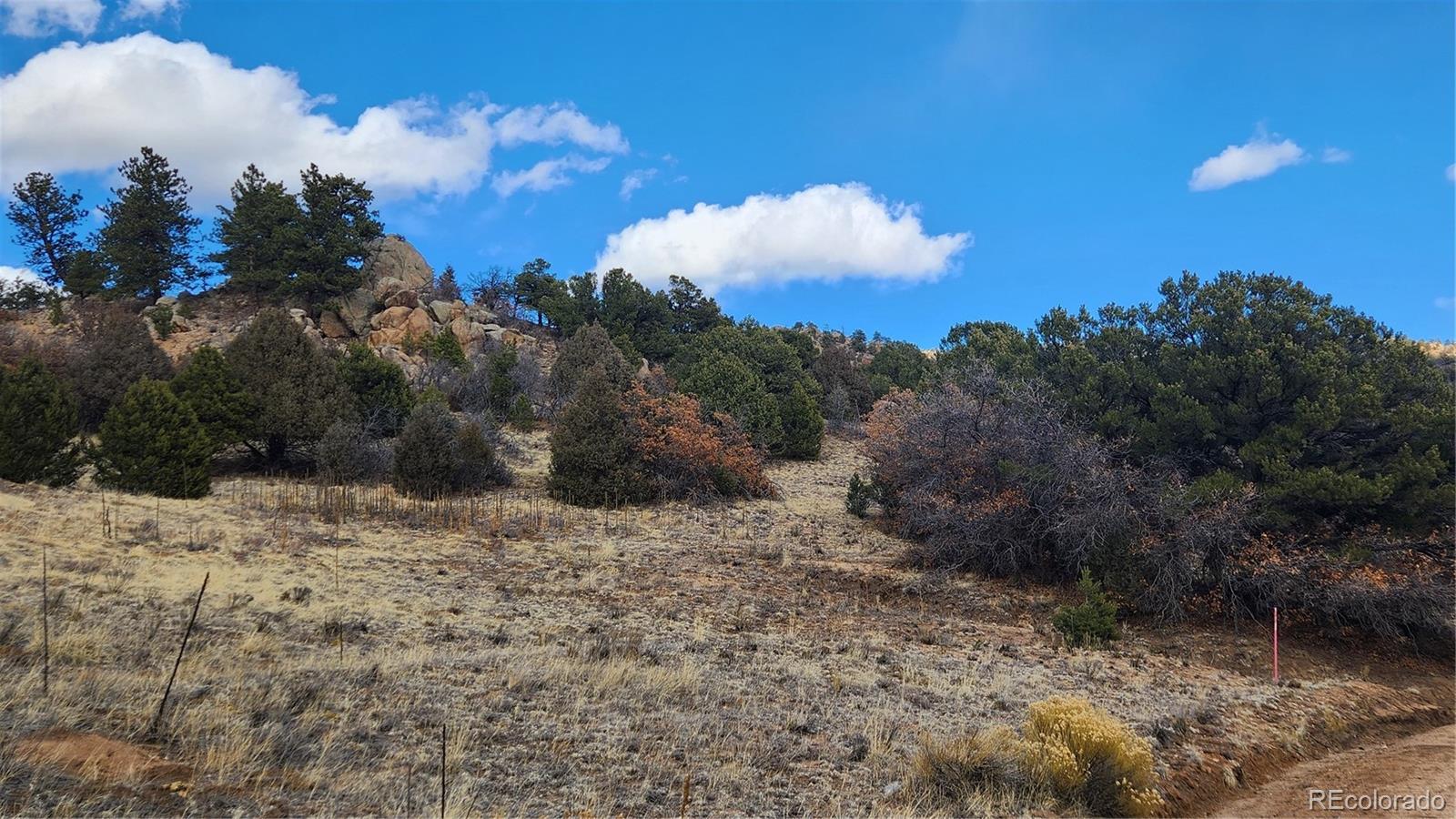 47 White Cloud Drive Cotopaxi CO 81223