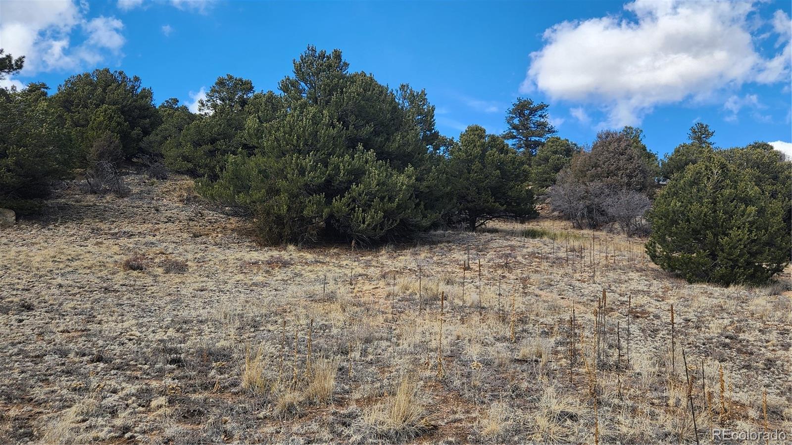 47 White Cloud Drive Cotopaxi CO 81223