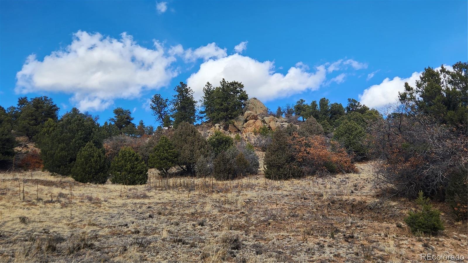 47 White Cloud Drive Cotopaxi CO 81223