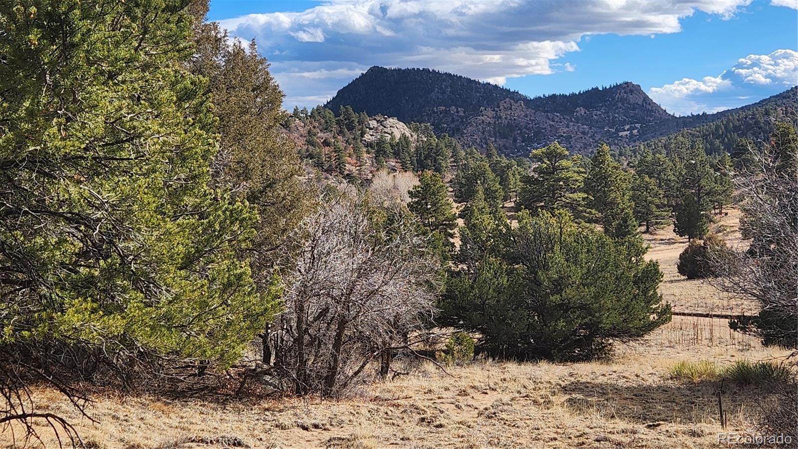 47 White Cloud Drive Cotopaxi CO 81223