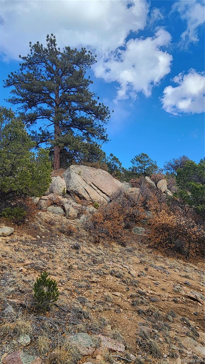 47 White Cloud Drive Cotopaxi CO 81223