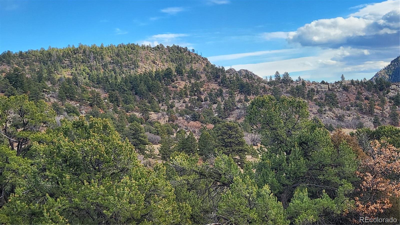 47 White Cloud Drive Cotopaxi CO 81223
