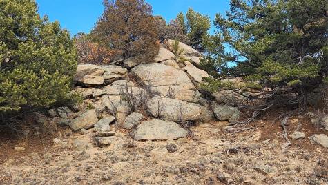 47 White Cloud Drive Cotopaxi CO 81223