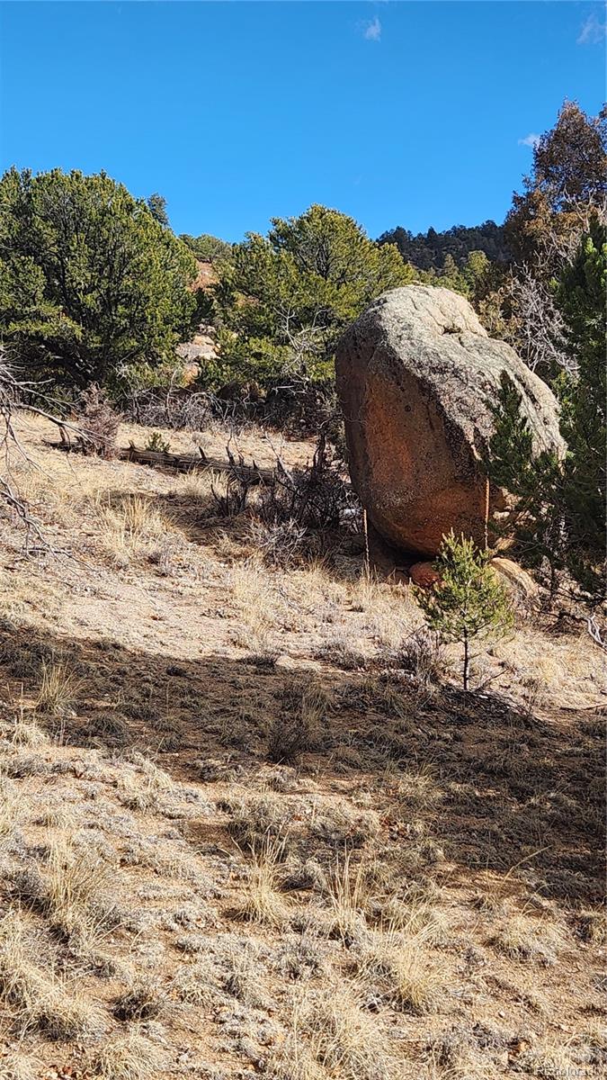 47 White Cloud Drive Cotopaxi CO 81223