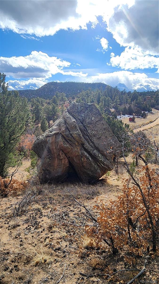 47 White Cloud Drive Cotopaxi CO 81223