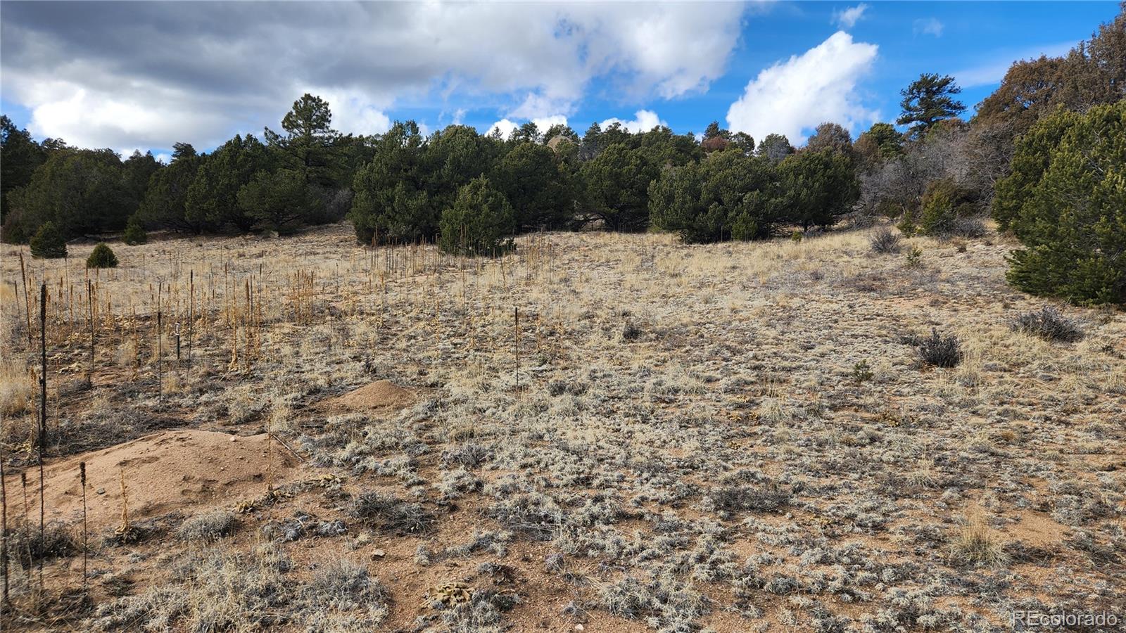47 White Cloud Drive Cotopaxi CO 81223