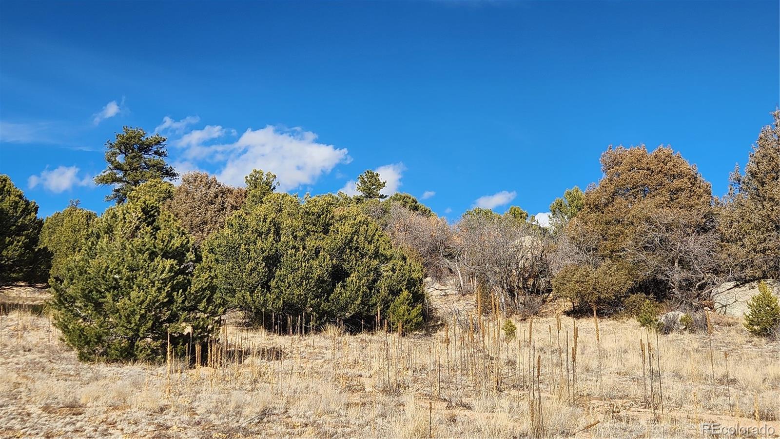 47 White Cloud Drive Cotopaxi CO 81223
