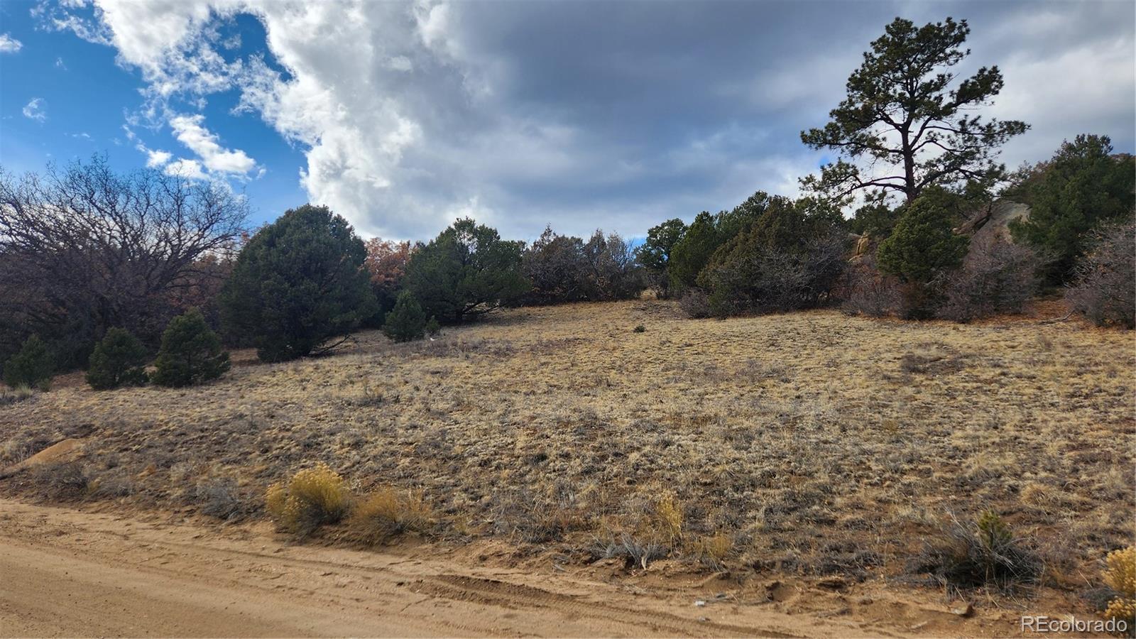 47 White Cloud Drive Cotopaxi CO 81223