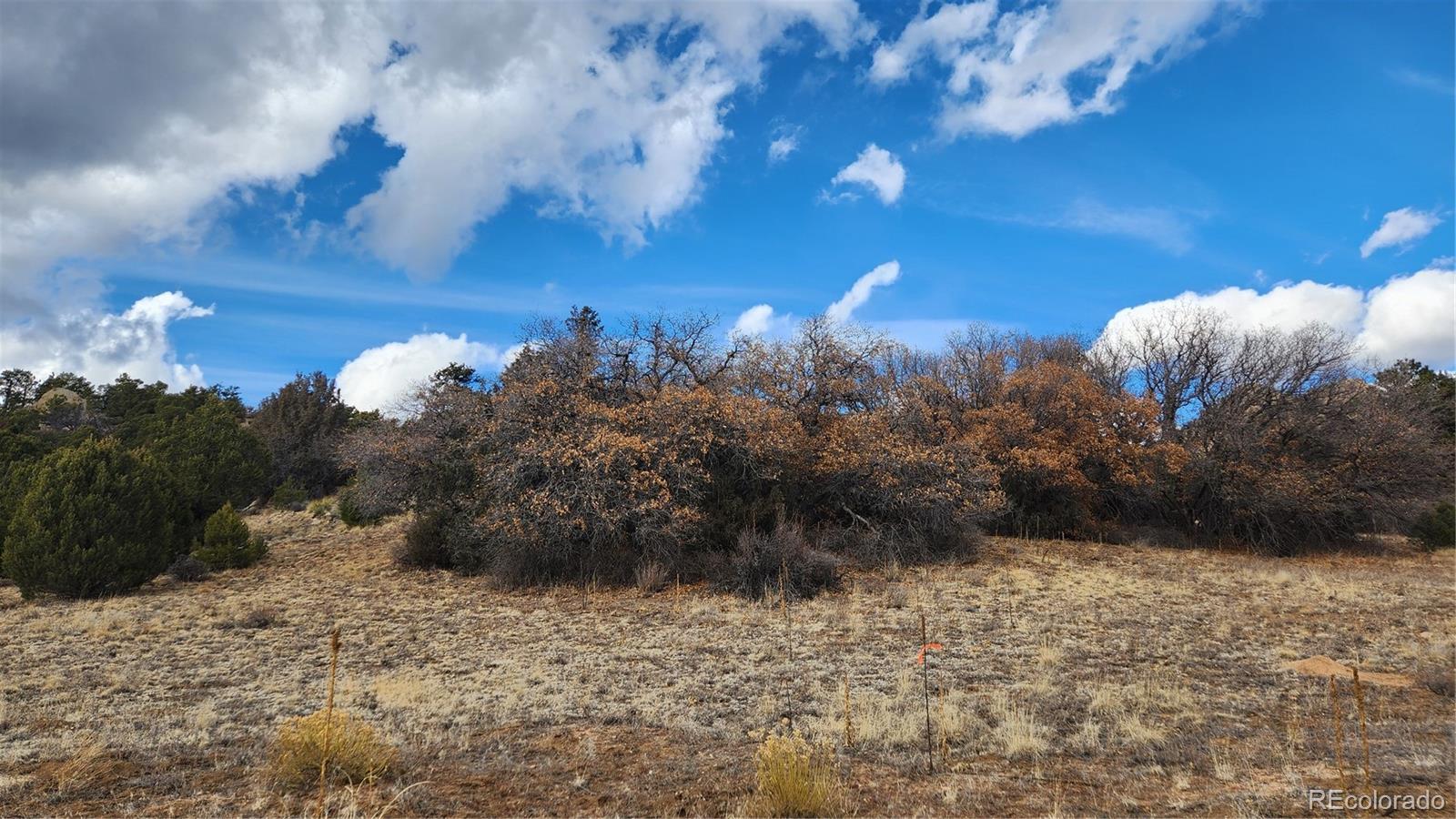 47 White Cloud Drive Cotopaxi CO 81223