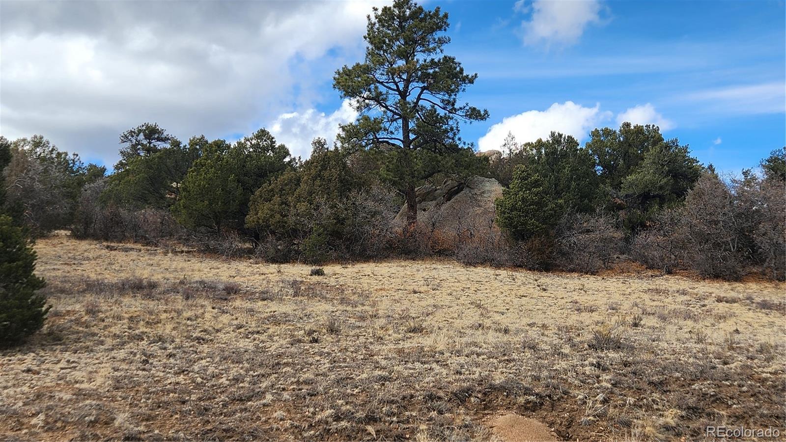 47 White Cloud Drive Cotopaxi CO 81223