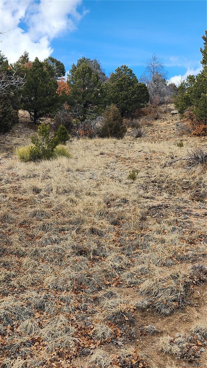 47 White Cloud Drive Cotopaxi CO 81223
