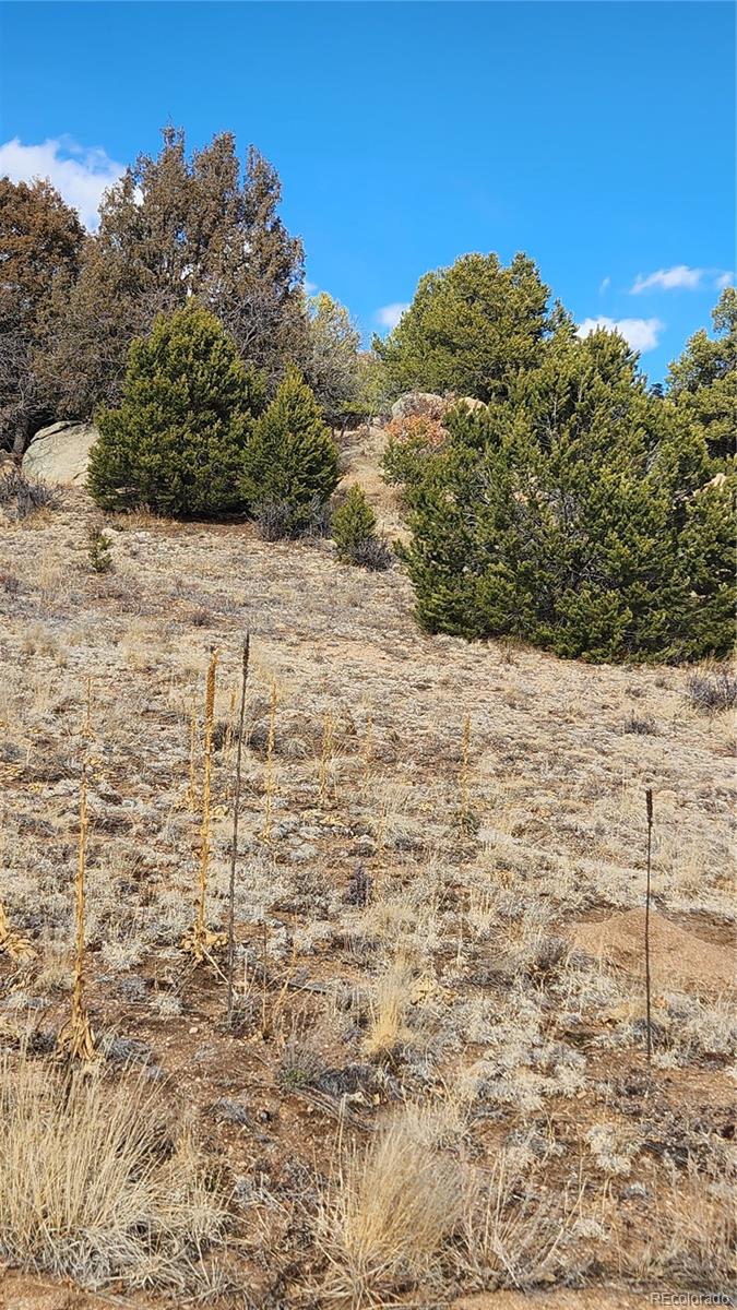 47 White Cloud Drive Cotopaxi CO 81223