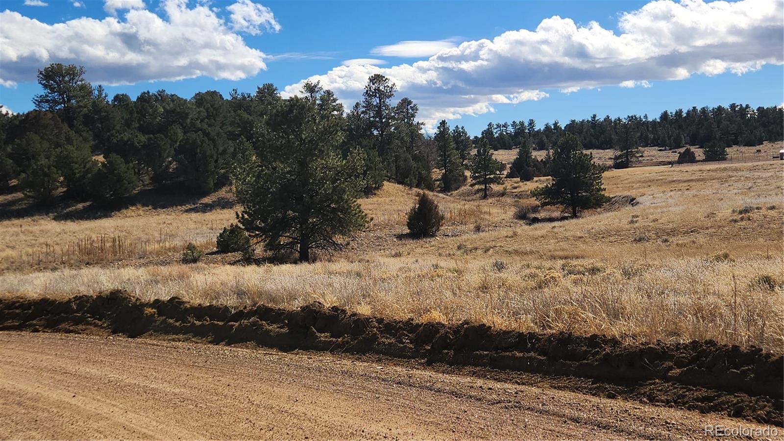 47 White Cloud Drive Cotopaxi CO 81223