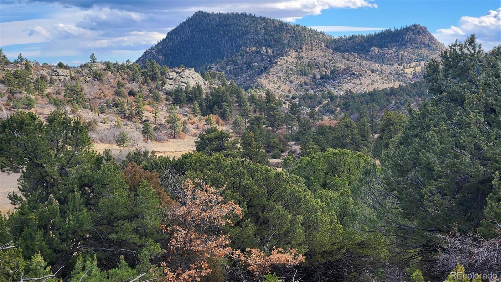 47 White Cloud Drive Cotopaxi CO 81223