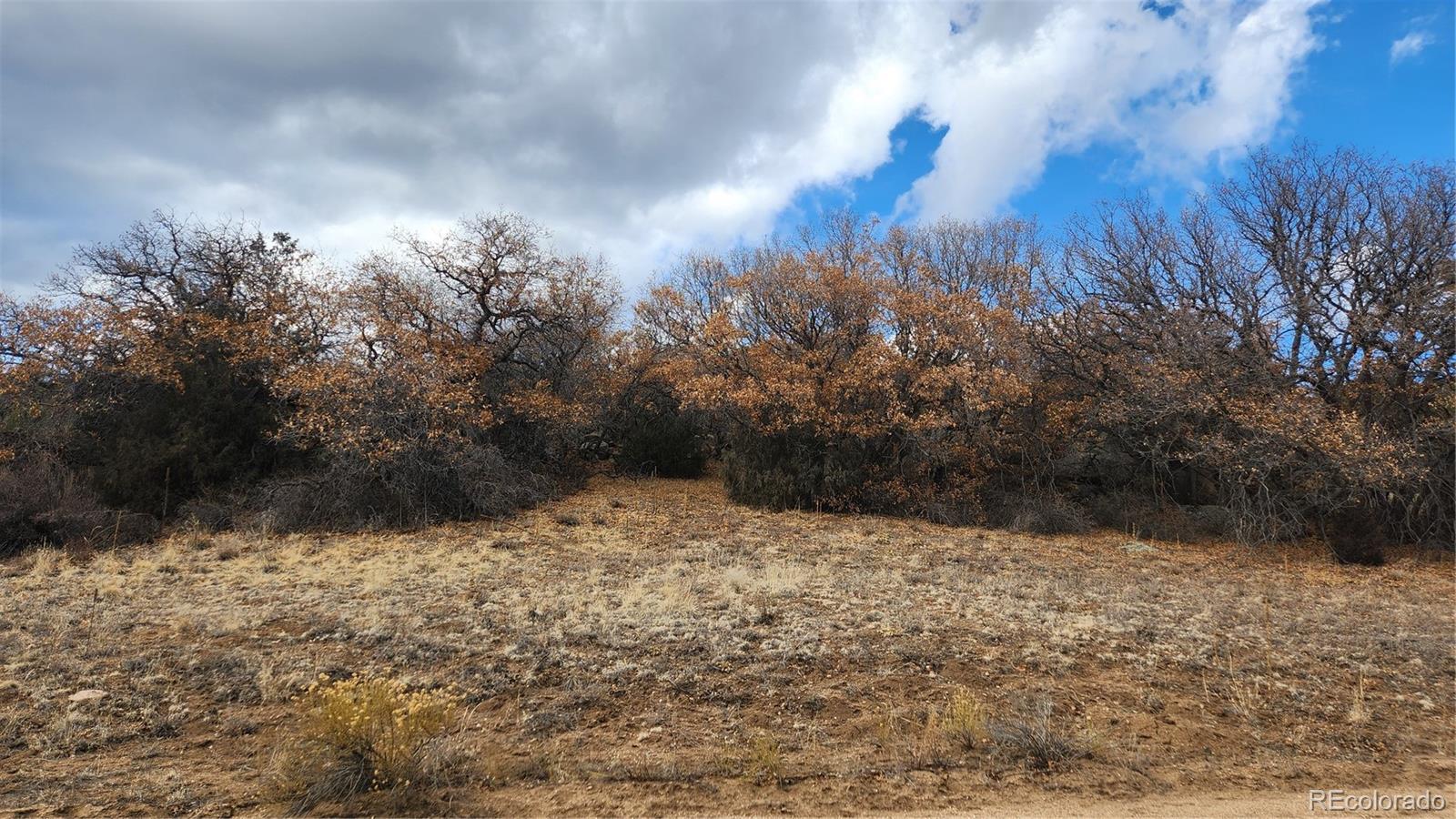 47 White Cloud Drive Cotopaxi CO 81223
