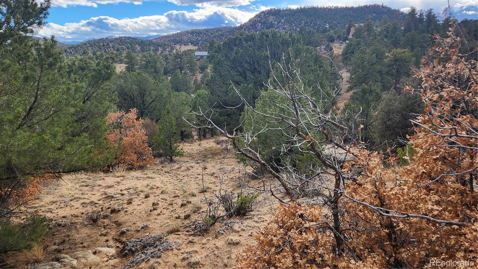 47 White Cloud Drive Cotopaxi CO 81223