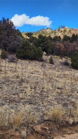 47 White Cloud Drive Cotopaxi CO 81223
