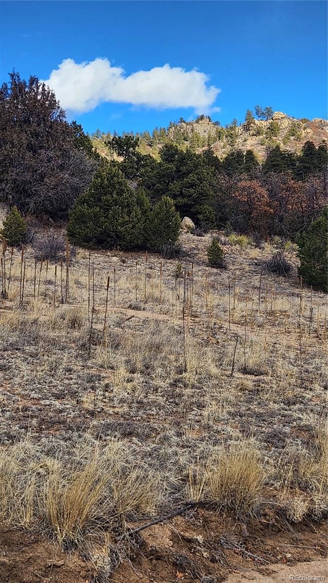 47 White Cloud Drive Cotopaxi CO 81223