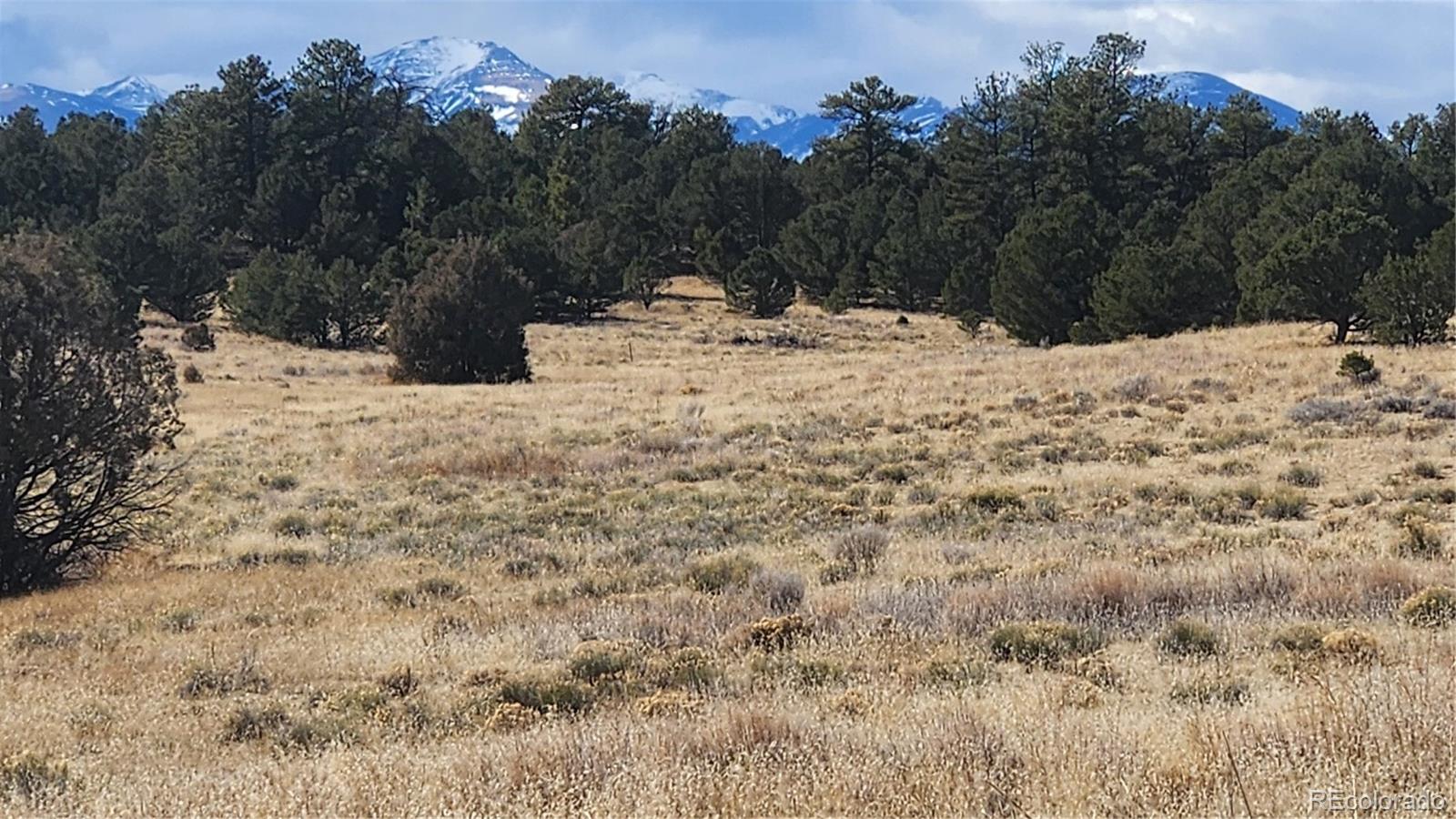 47 White Cloud Drive Cotopaxi CO 81223