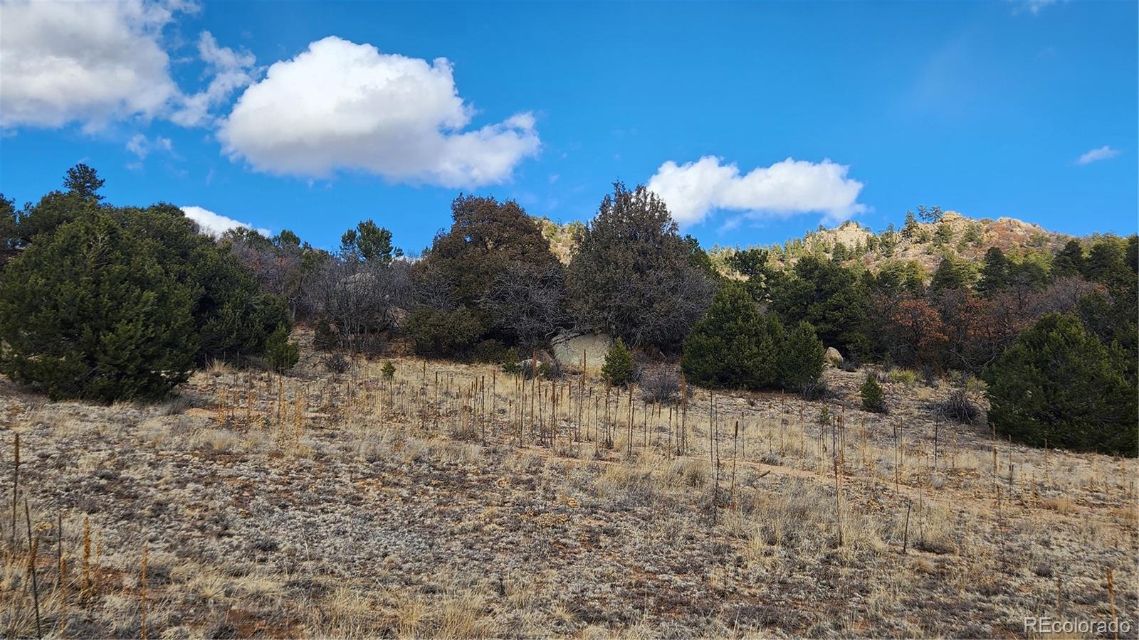 47 White Cloud Drive Cotopaxi CO 81223