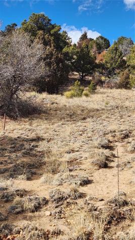 47 White Cloud Drive Cotopaxi CO 81223