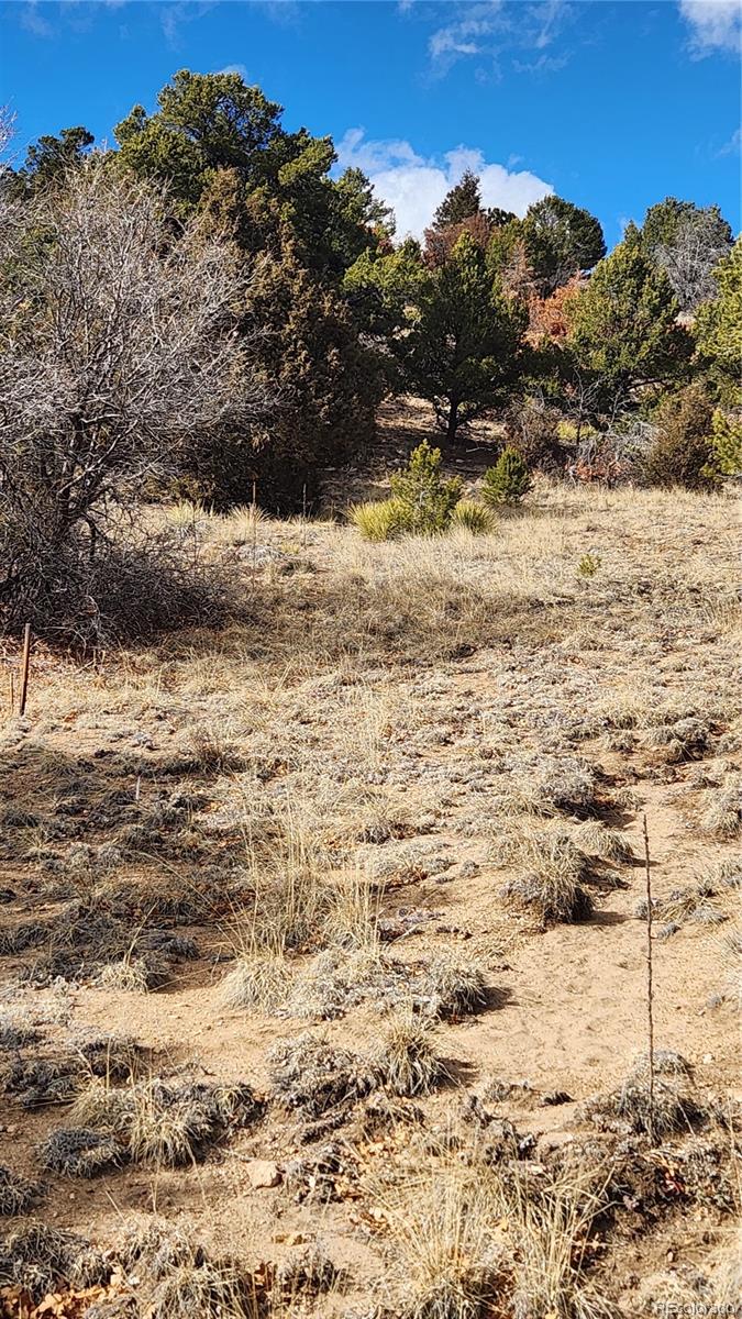 47 White Cloud Drive Cotopaxi CO 81223