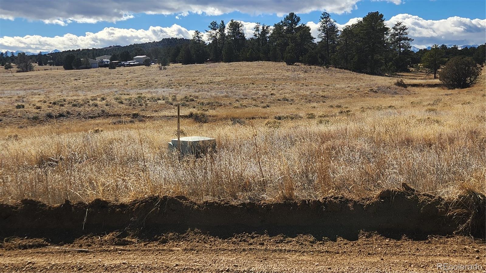 47 White Cloud Drive Cotopaxi CO 81223