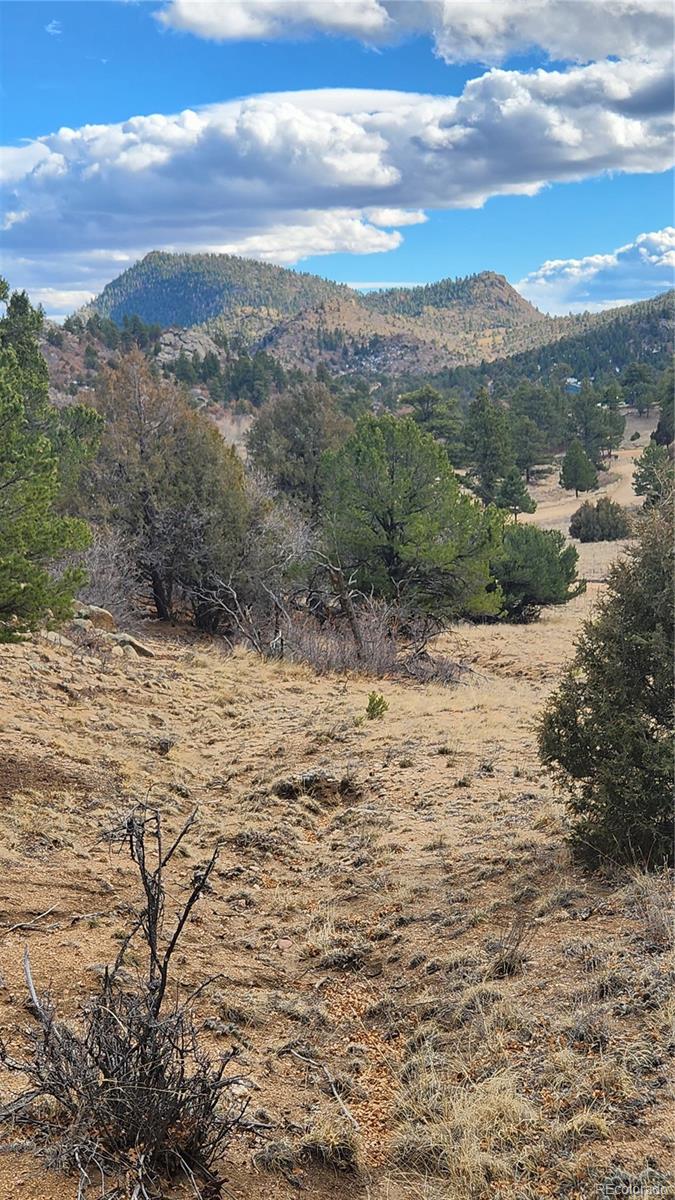 47 White Cloud Drive Cotopaxi CO 81223