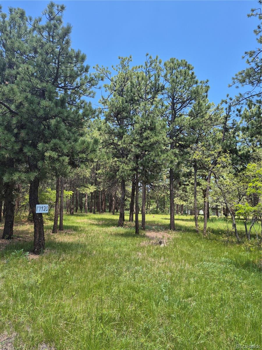 19420 Glen Cannon Way Monument CO 80132