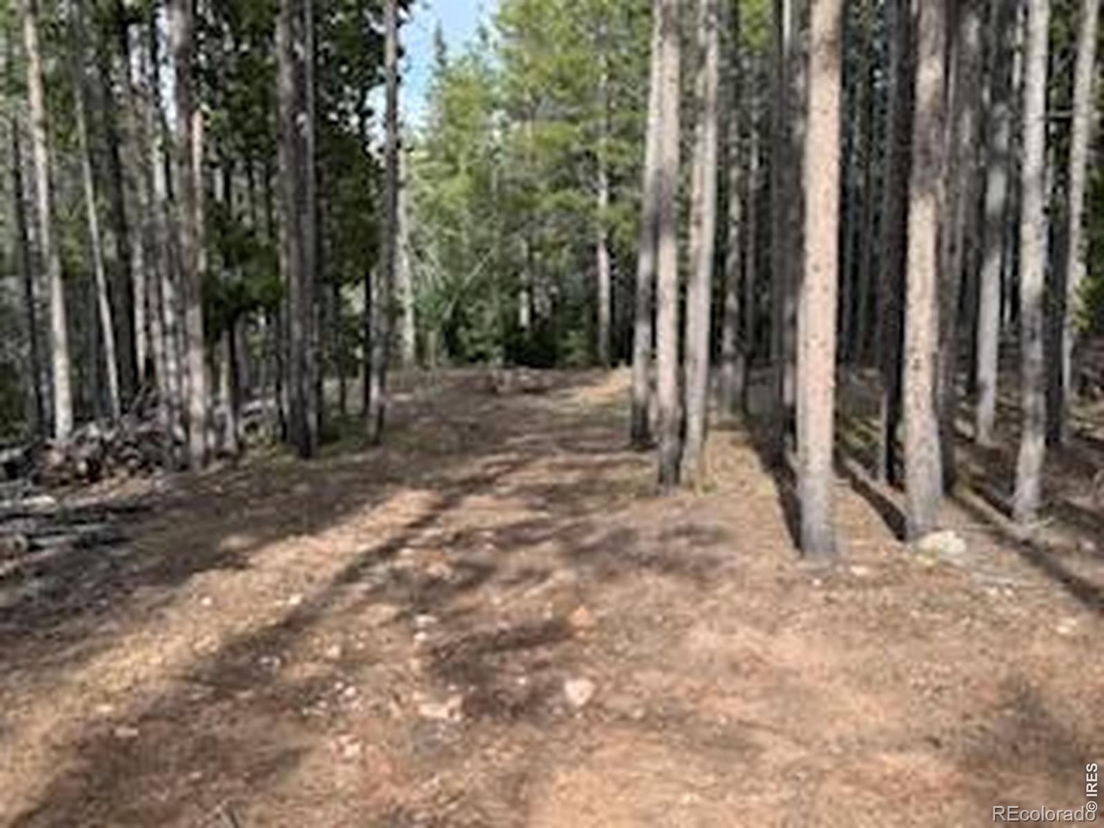 2581 Shoshoni Drive Red Feather Lakes CO 80545