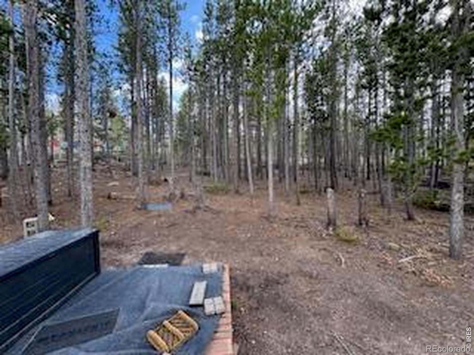 2581 Shoshoni Drive Red Feather Lakes CO 80545