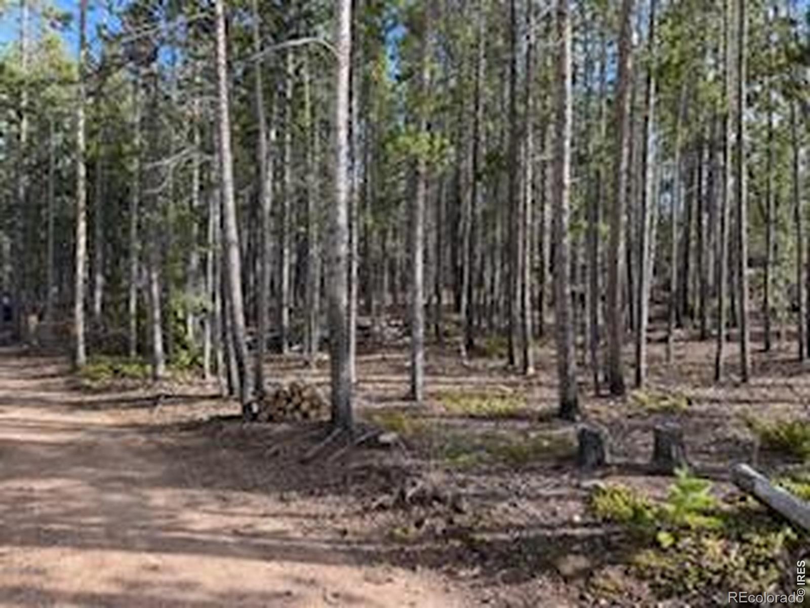 2581 Shoshoni Drive Red Feather Lakes CO 80545