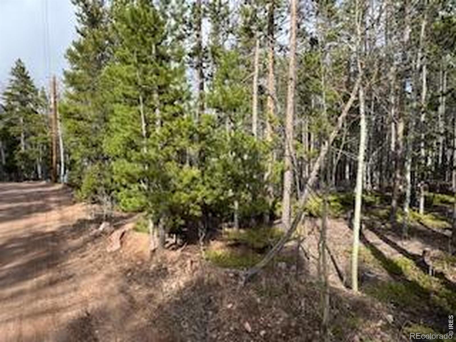 2581 Shoshoni Drive Red Feather Lakes CO 80545