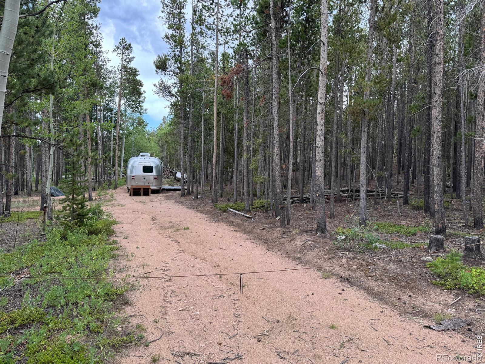 2581 Shoshoni Drive Red Feather Lakes CO 80545