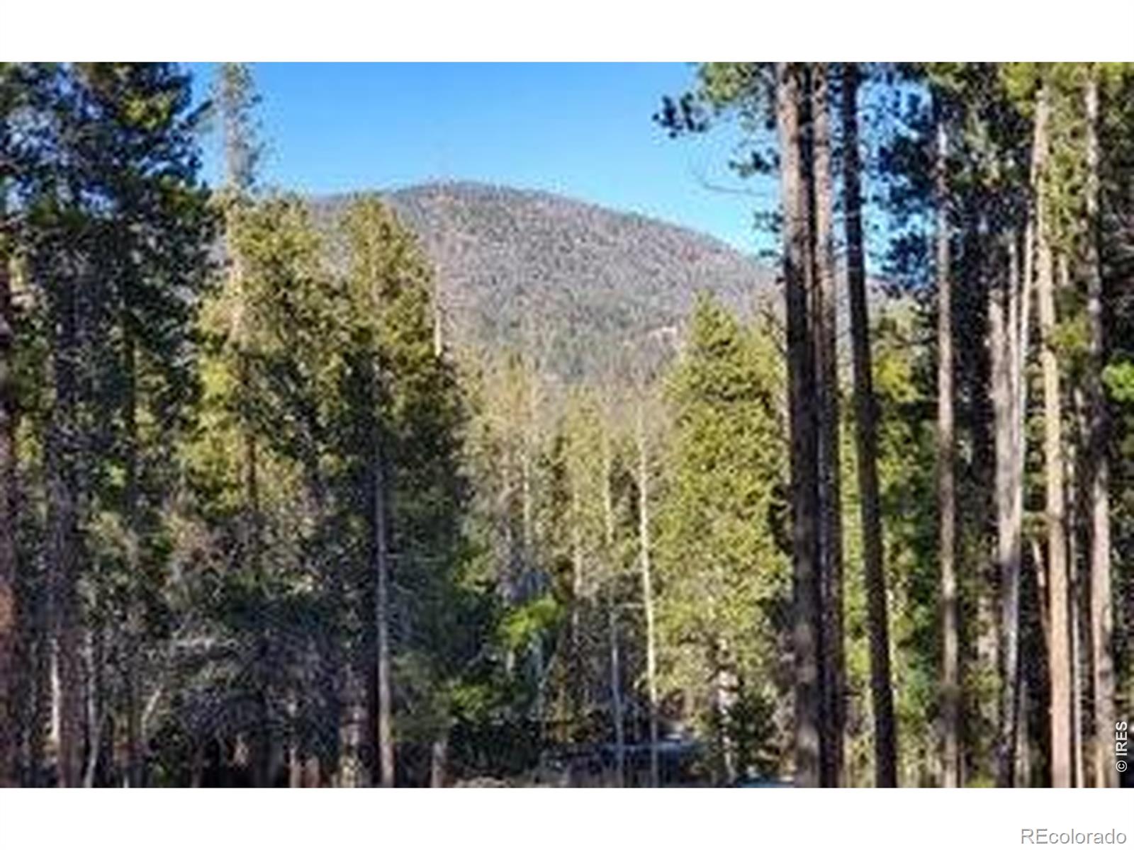 2581 Shoshoni Drive Red Feather Lakes CO 80545