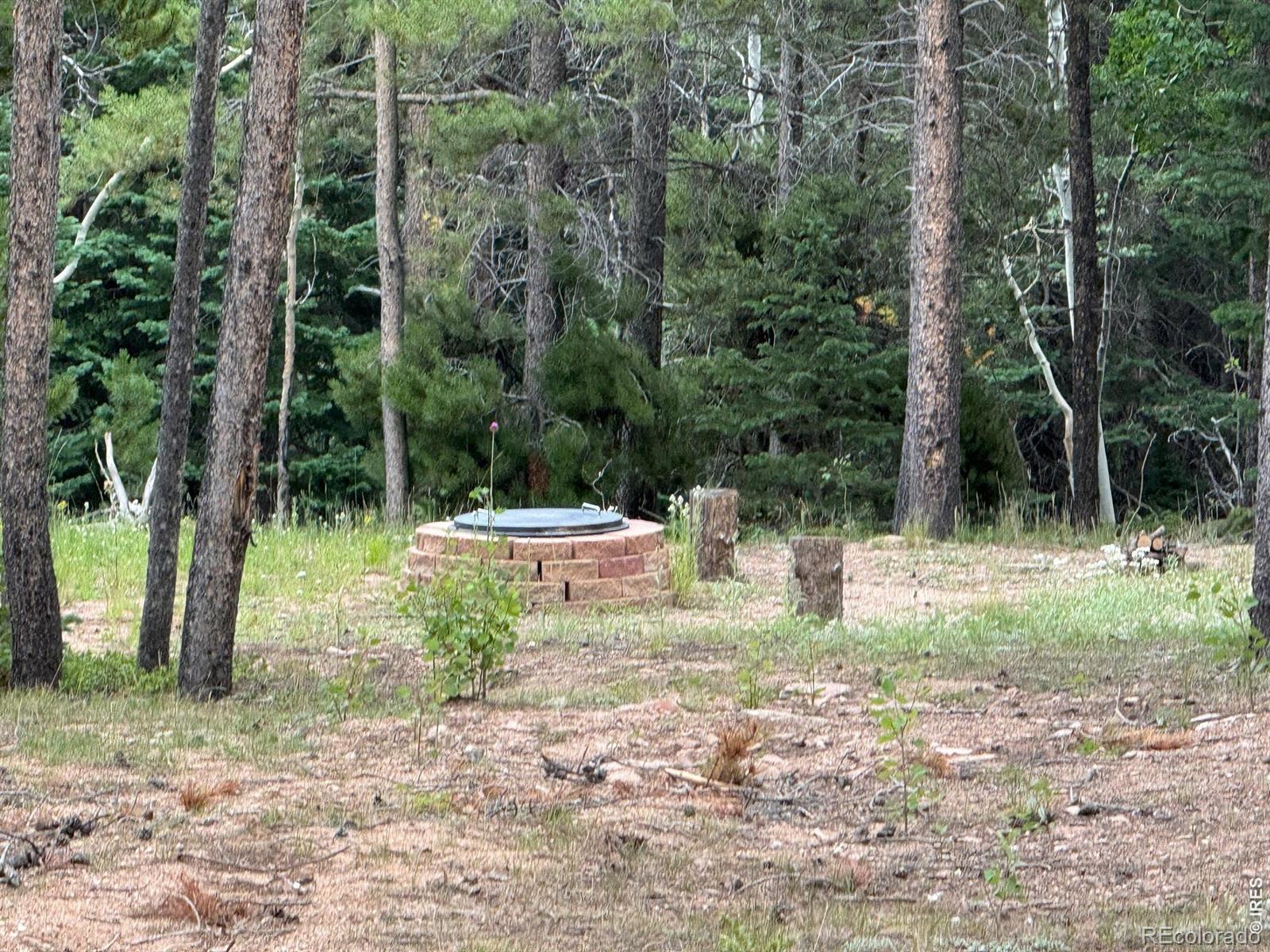 2581 Shoshoni Drive Red Feather Lakes CO 80545