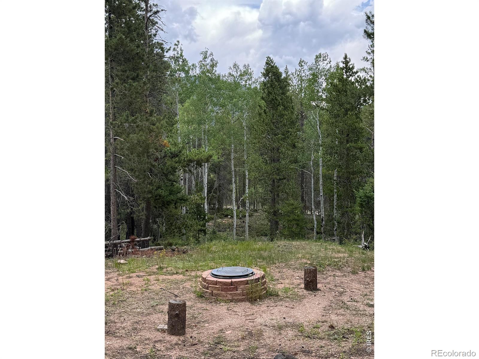 2581 Shoshoni Drive Red Feather Lakes CO 80545