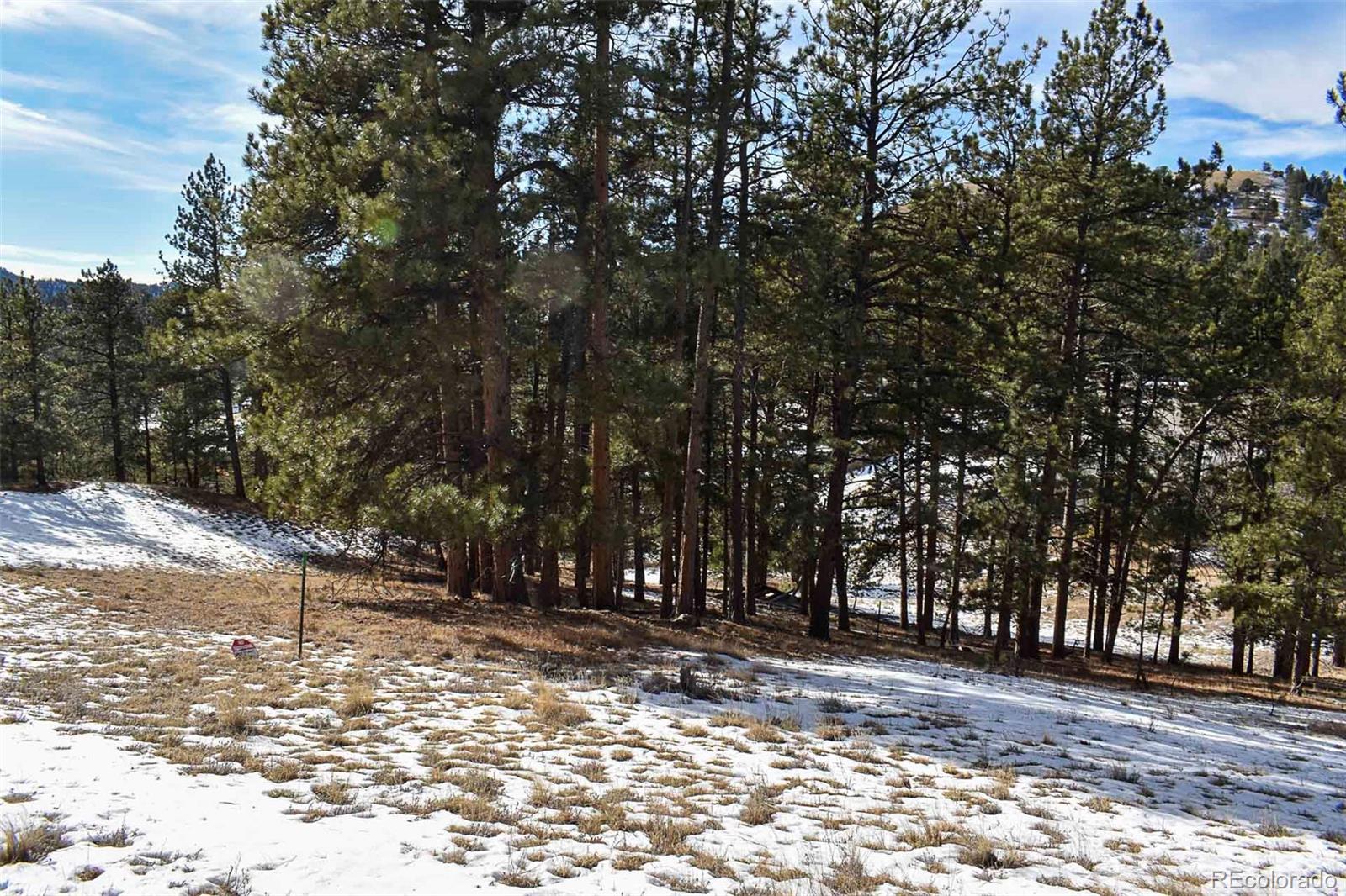 000 6th Street Guffey CO 80820