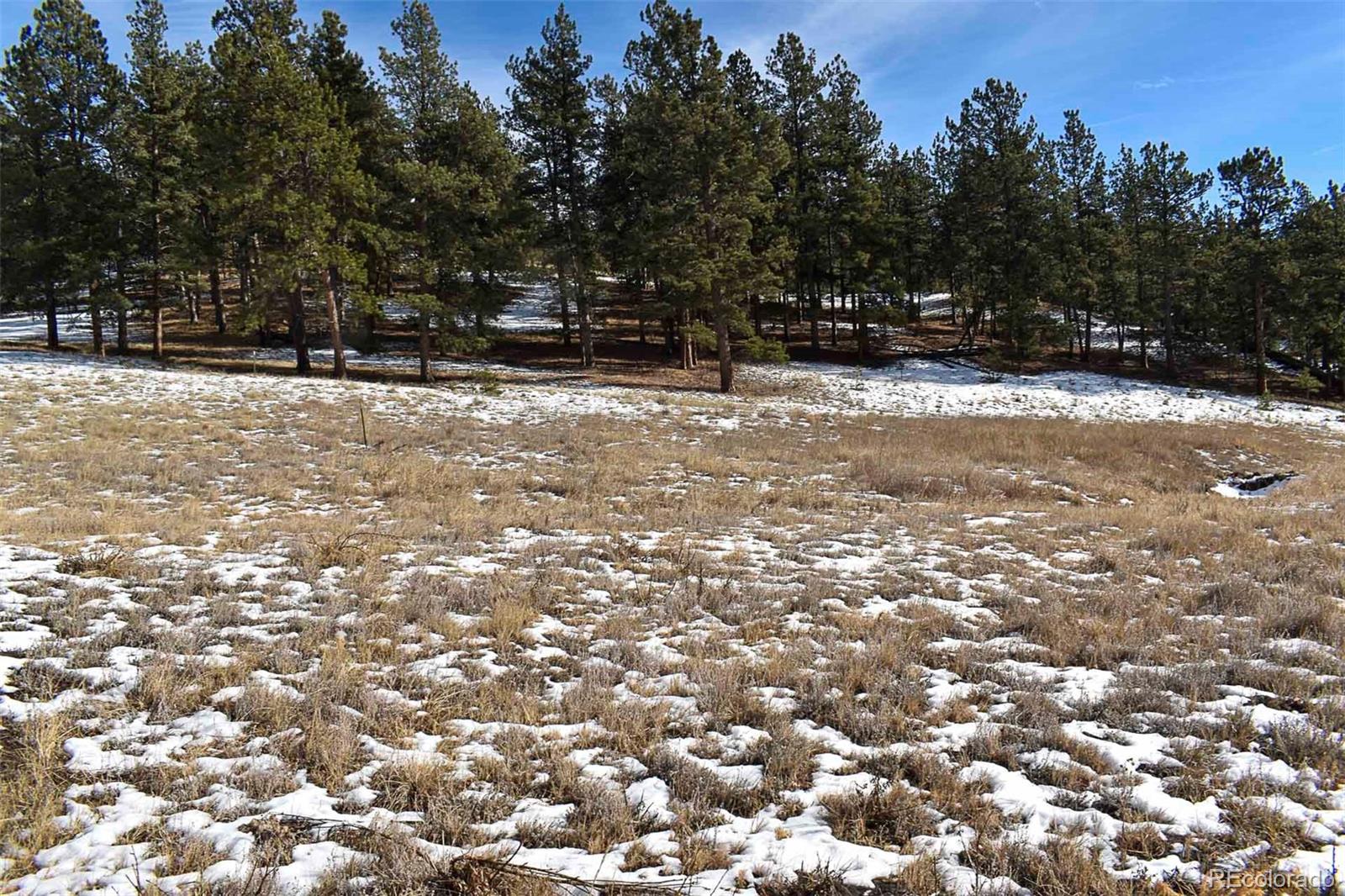 000 6th Street Guffey CO 80820