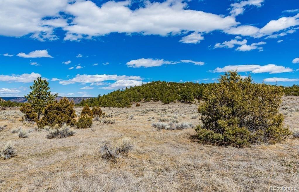 Lot 36 Marcey Road Westcliffe CO 81252