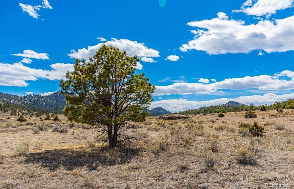 Lot 36 Marcey Road Westcliffe CO 81252