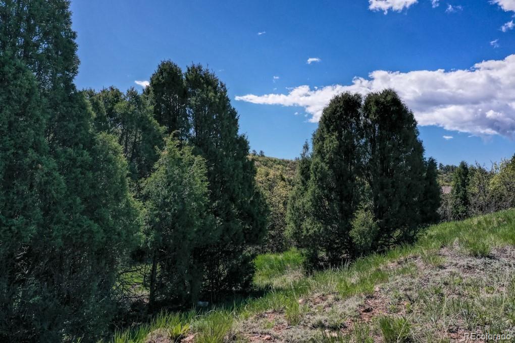 3455 Black Canyon Road Colorado Springs CO 80904