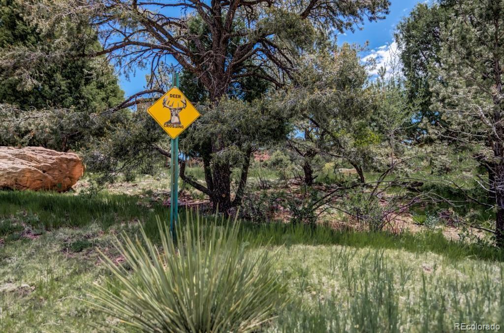 3455 Black Canyon Road Colorado Springs CO 80904