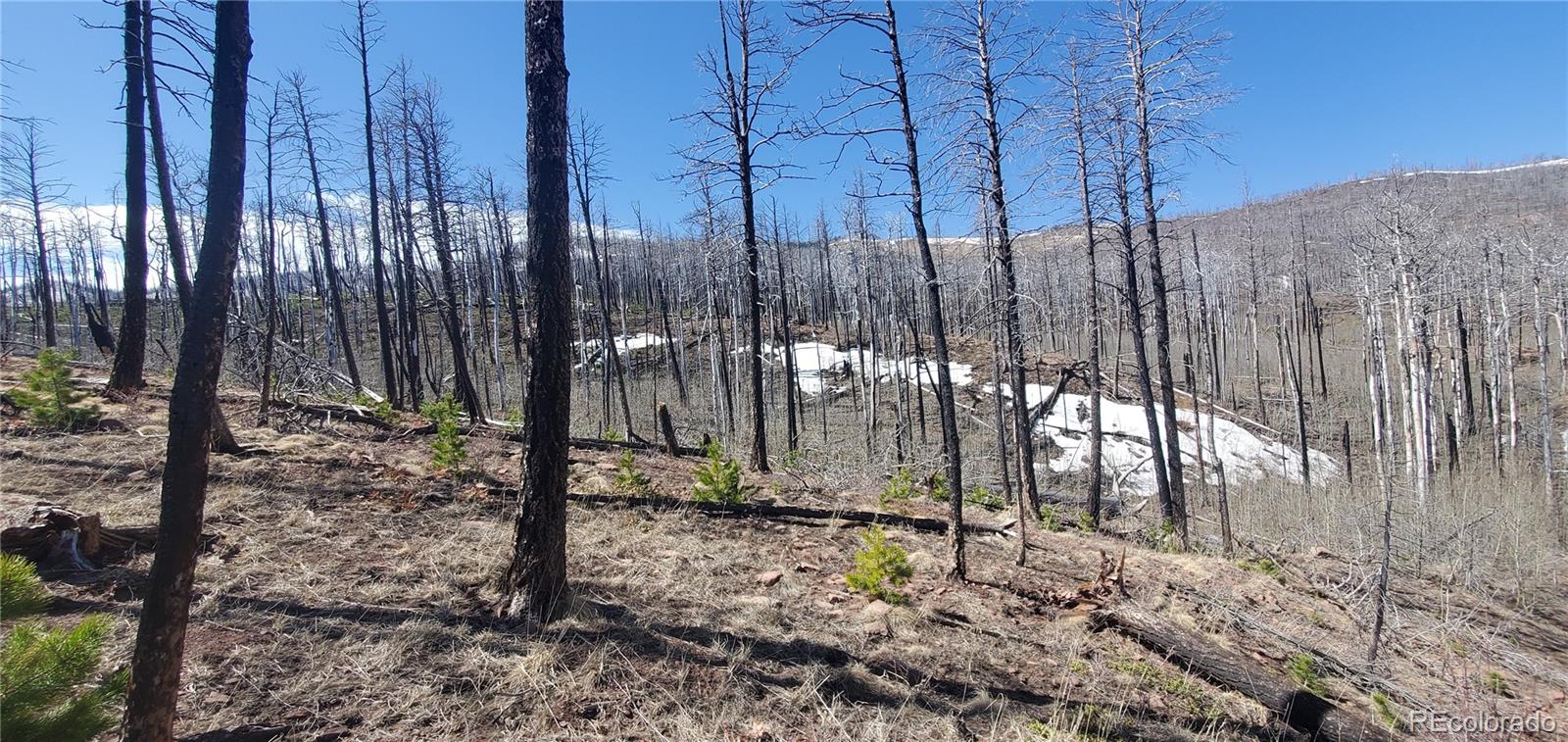 Lot's 854,855 Slaoui Place Fort Garland CO 81133