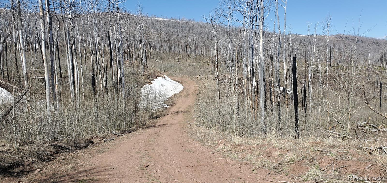 Lot's 854,855 Slaoui Place Fort Garland CO 81133