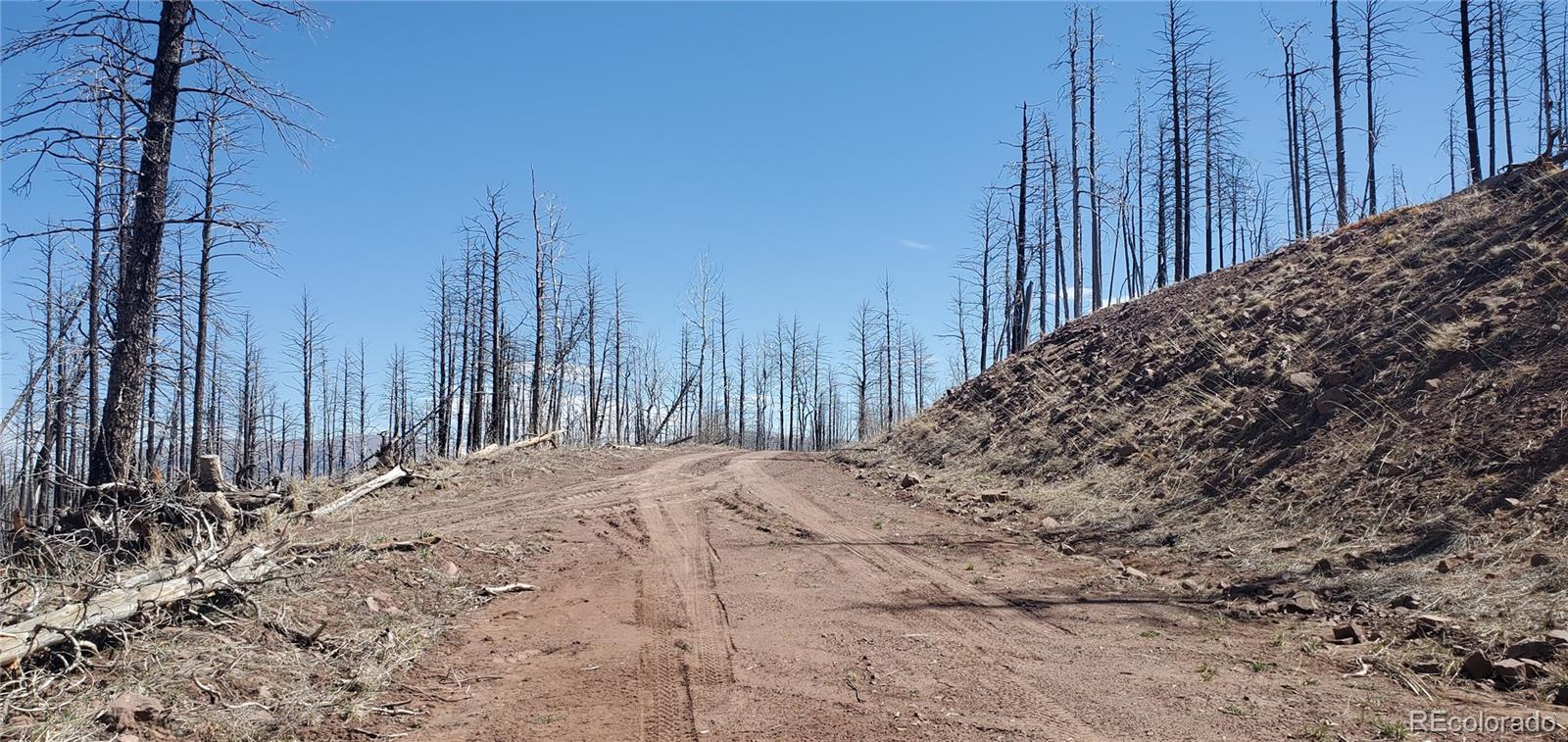 Lot's 854,855 Slaoui Place Fort Garland CO 81133