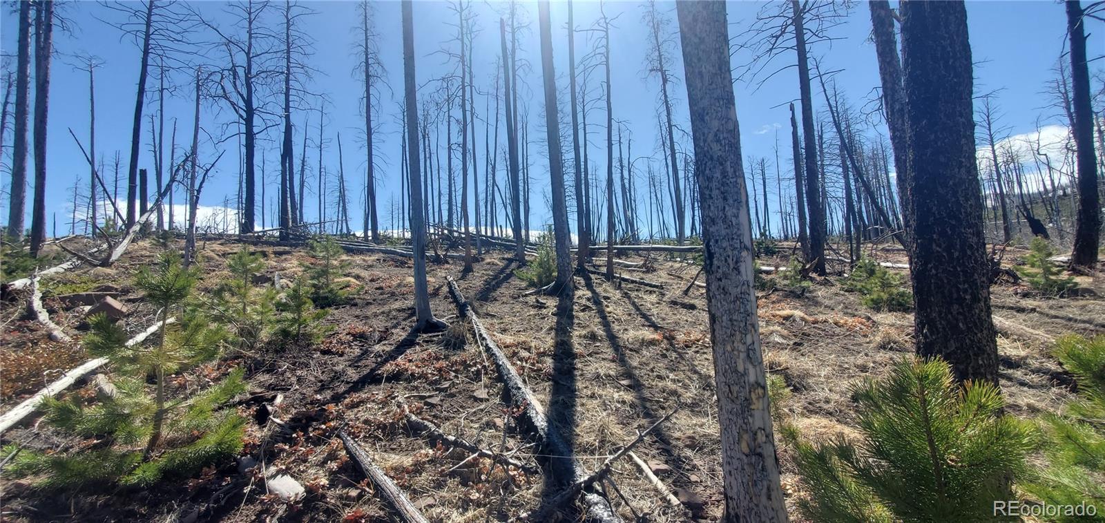 Lot's 854,855 Slaoui Place Fort Garland CO 81133